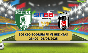 Bodrumspor vs Besiktas